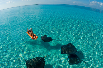 Yacht Charters Cayman, Boat Rentals